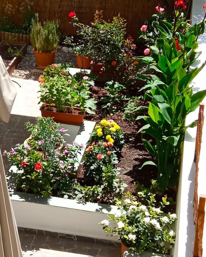 Charming Garden Apartment Rhodes City Bilik gambar